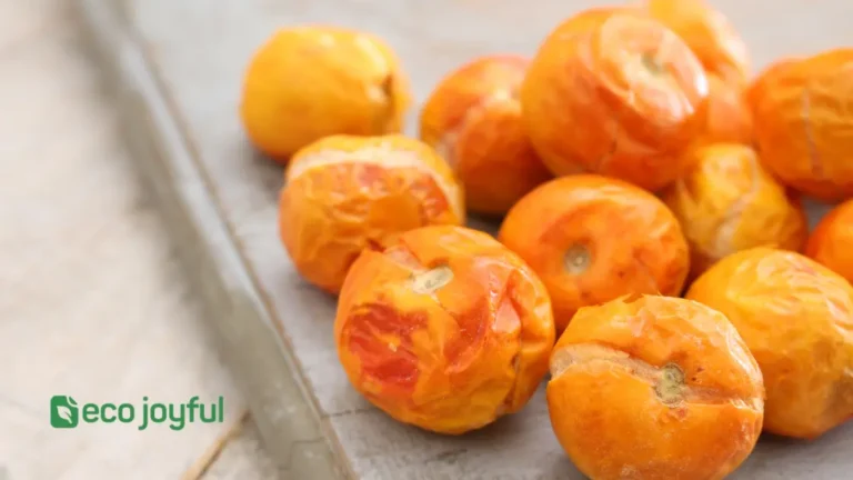 Freezing Tomatoes for Canning Later