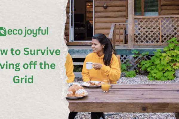 Survive Living off the Grid