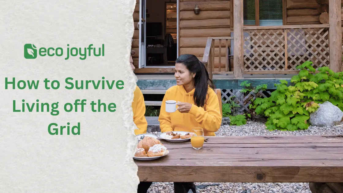 Survive Living off the Grid