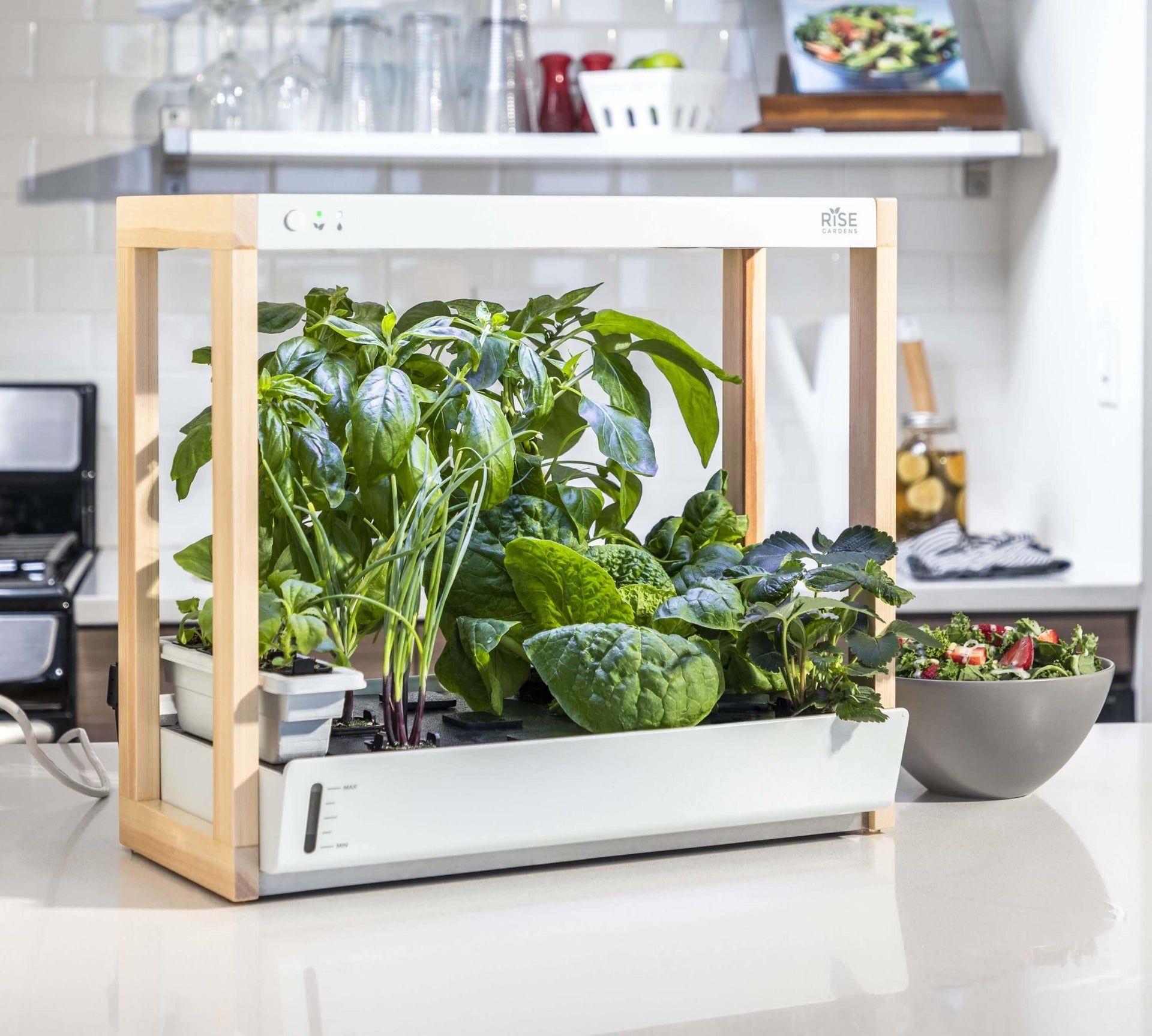 Are Indoor Hydroponic Gardens Worth It