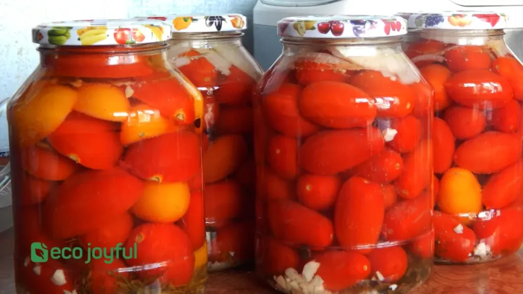 canning tomatoes