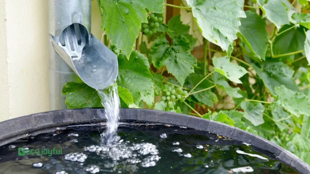 home Water Management 