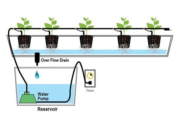 How Does a Hydroponic Garden Work