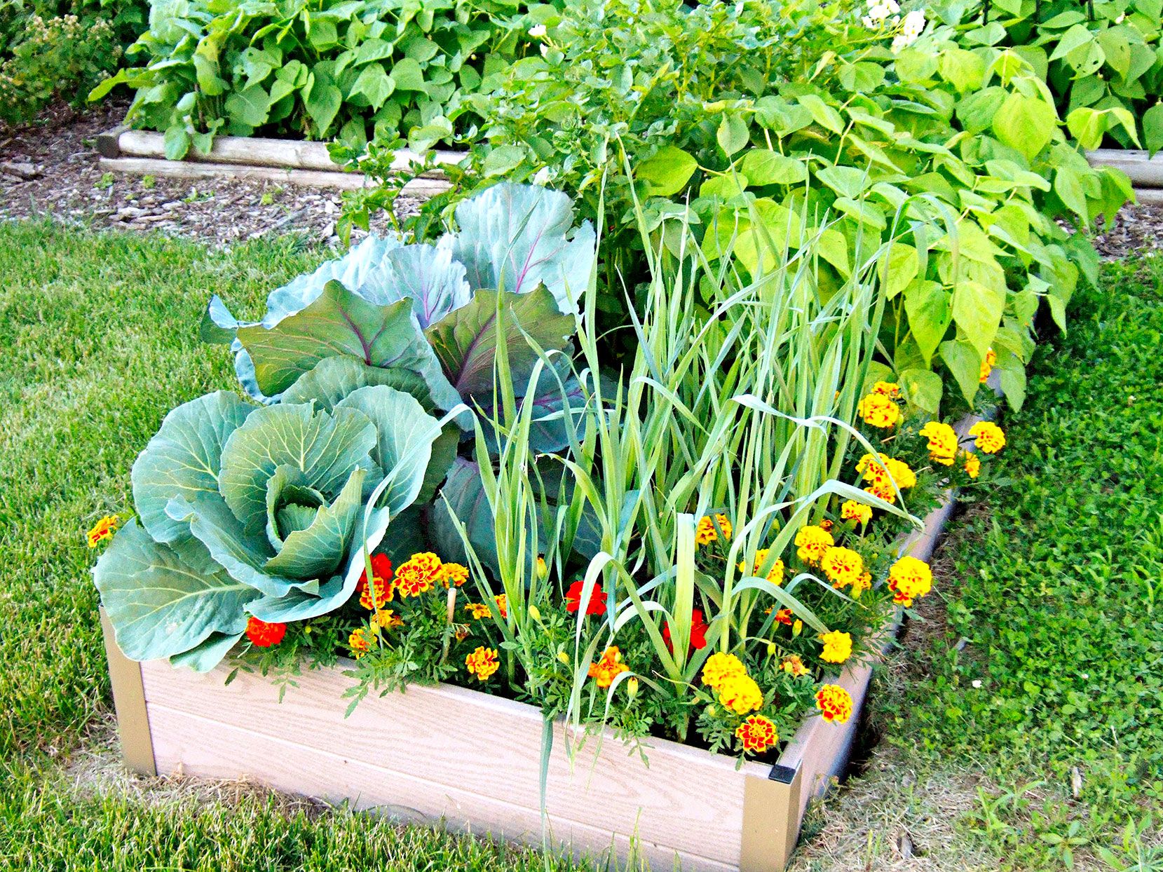 How to Plant Garden Vegetables