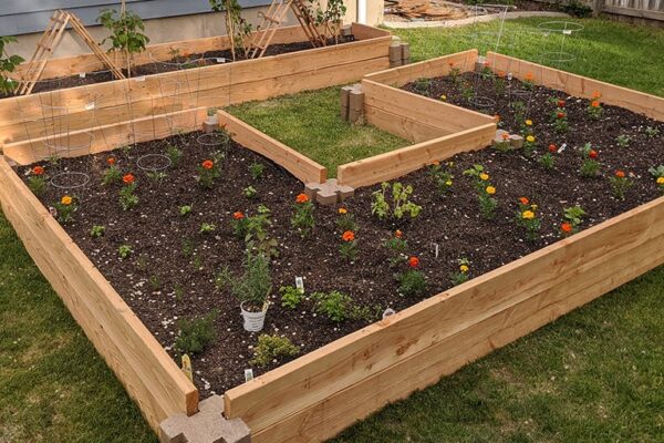 How To Build Your Own Raised Garden Bed