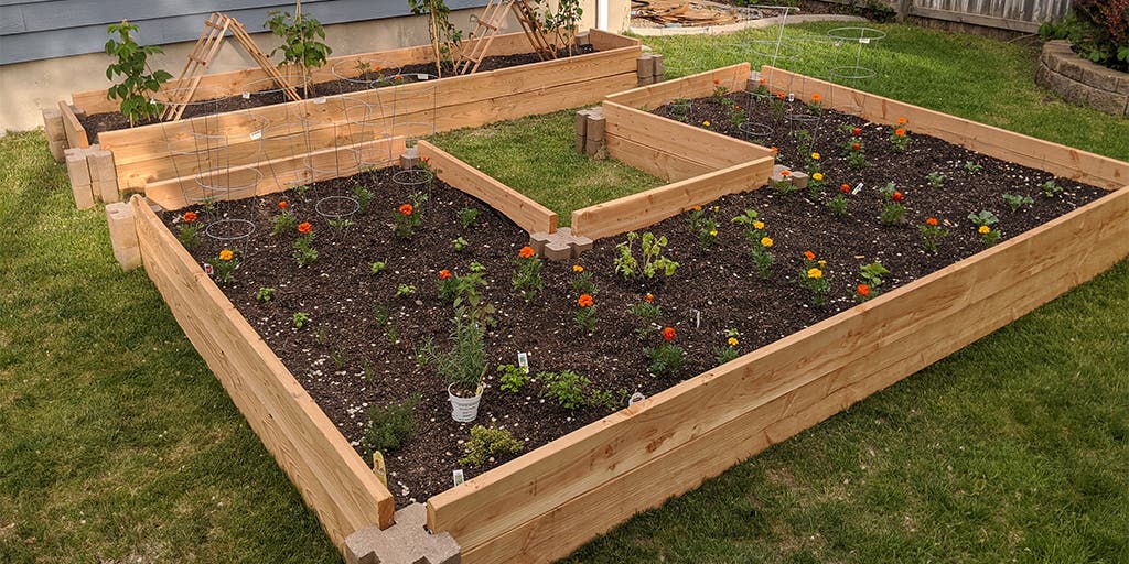 How To Build Your Own Raised Garden Bed