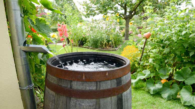 Rainwater catchment